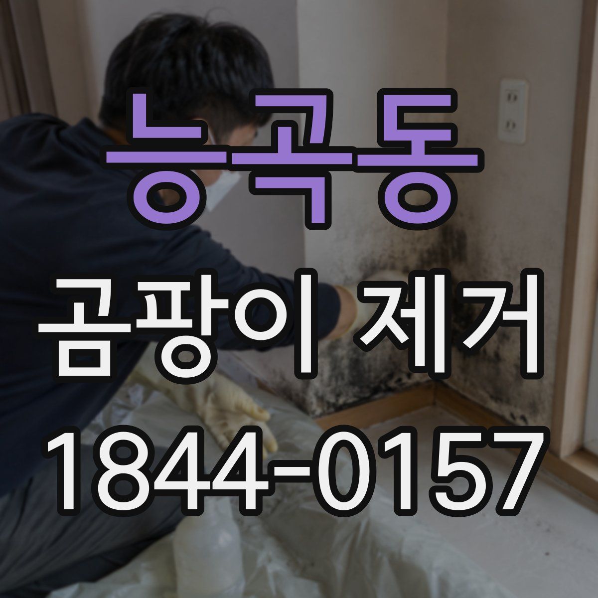 능곡동 곰팡이 제거