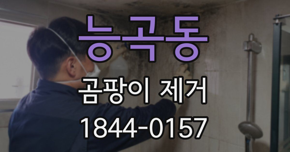 능곡동 곰팡이 제거
