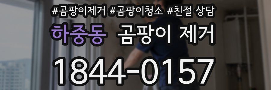 하중동 곰팡이 제거
