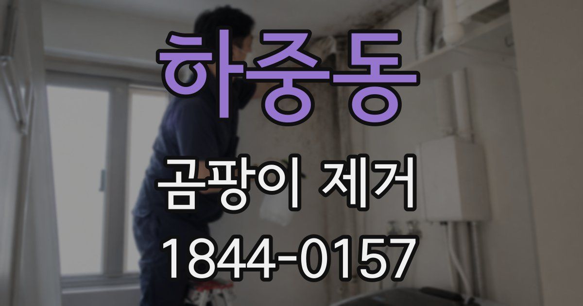 하중동 곰팡이 제거