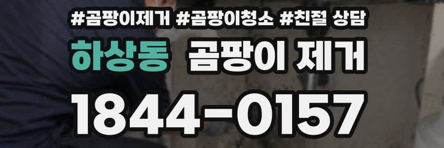 하상동 곰팡이 제거
