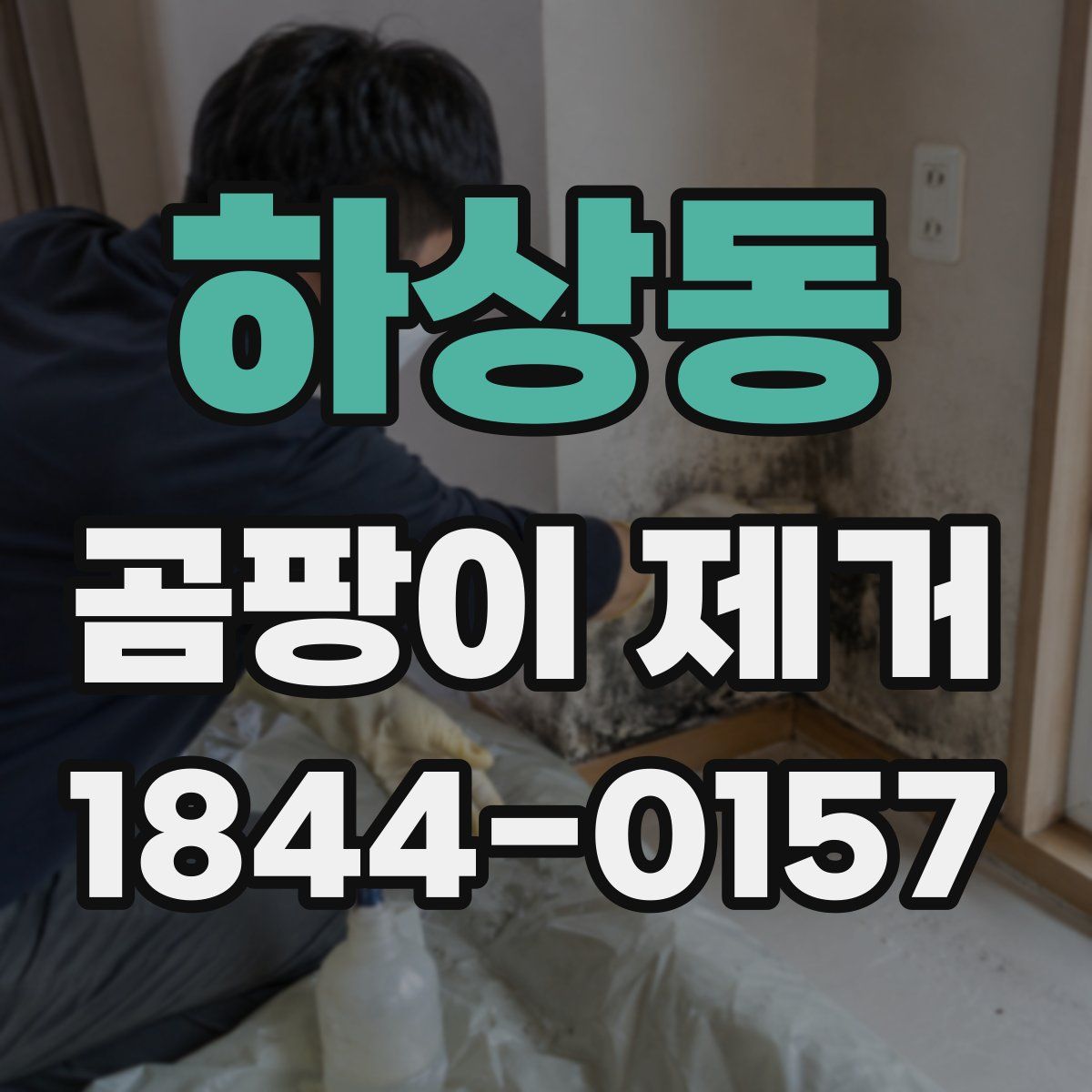 하상동 곰팡이 제거
