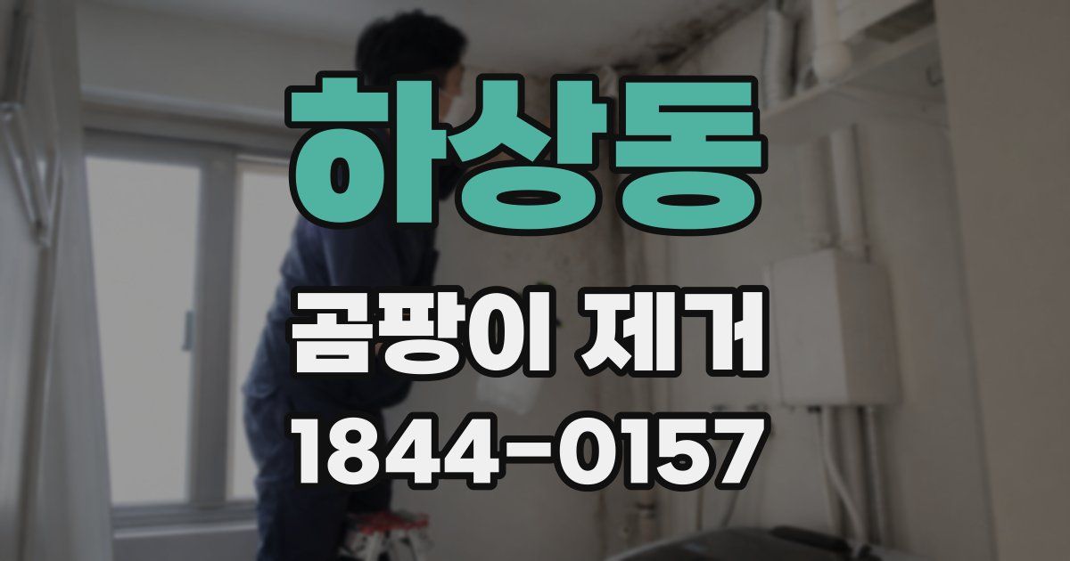하상동 곰팡이 제거