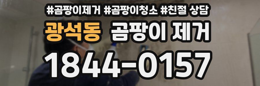 광석동 곰팡이 제거