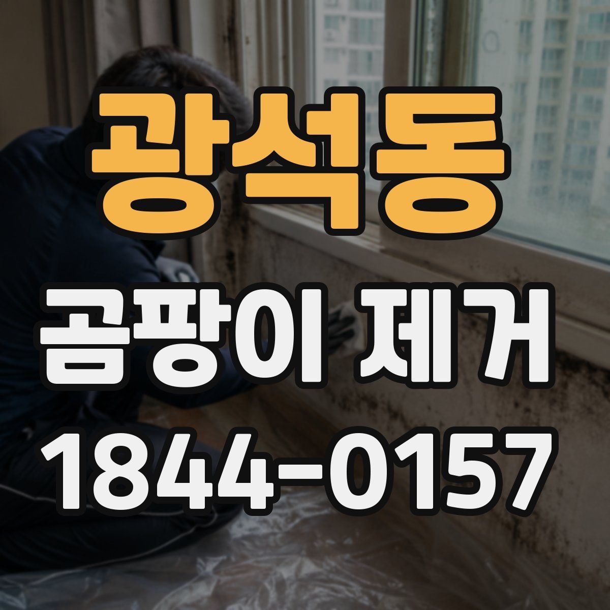광석동 곰팡이 제거