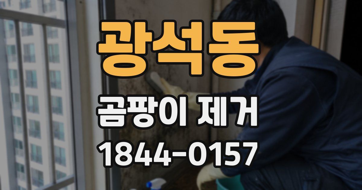 광석동 곰팡이 제거