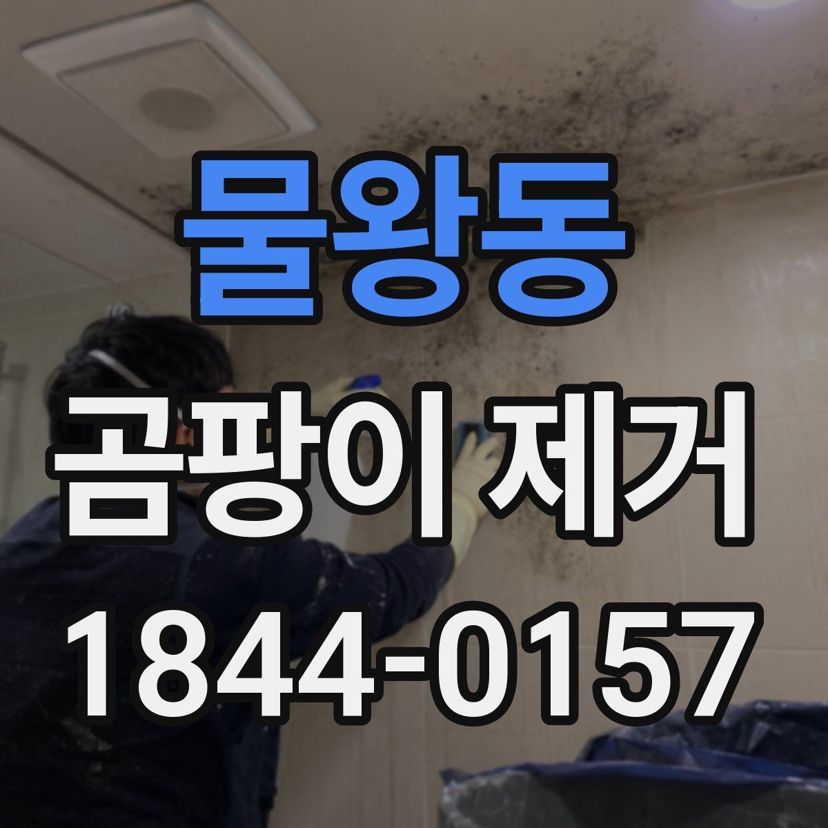 물왕동 곰팡이 제거 원인별로 달라지는 대응 방법