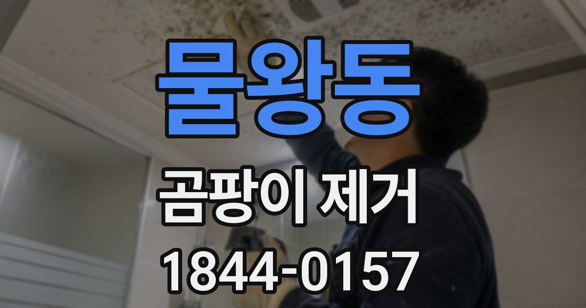 물왕동 곰팡이 제거