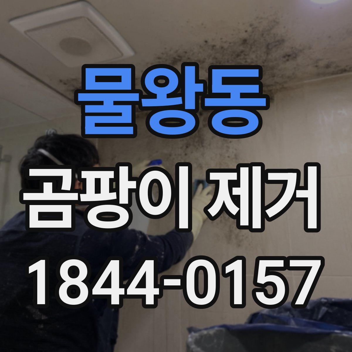물왕동 곰팡이 제거