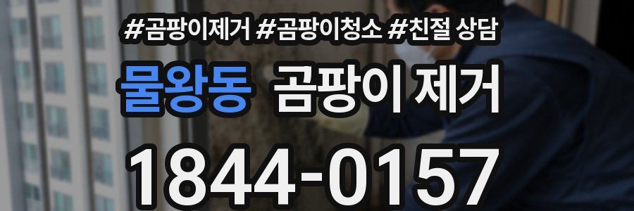 물왕동 곰팡이 제거