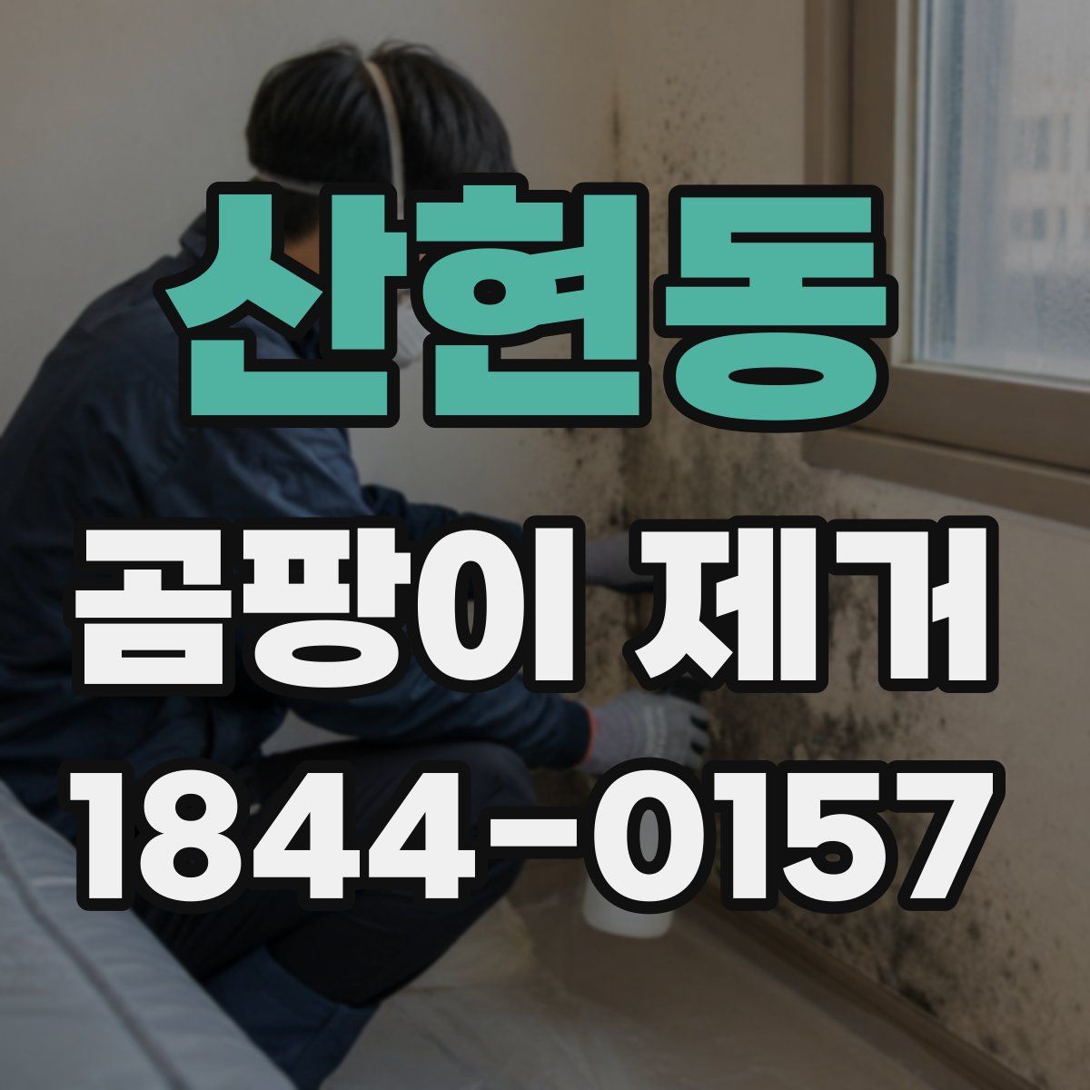 산현동 곰팡이 제거