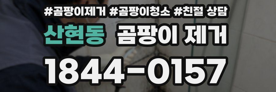산현동 곰팡이 제거