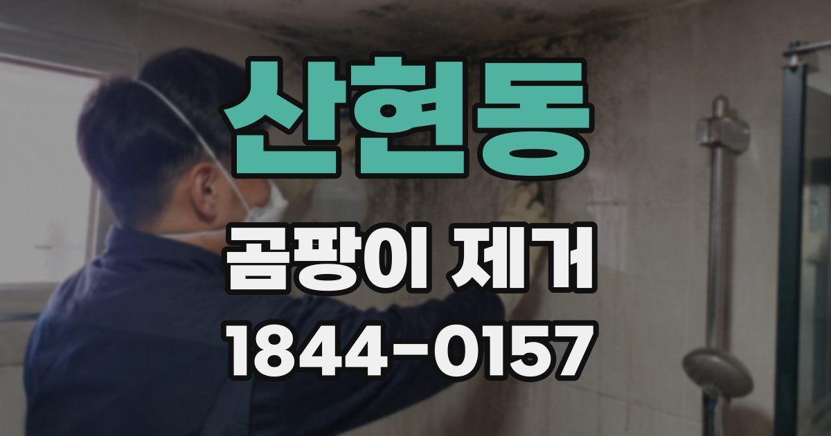 산현동 곰팡이 제거