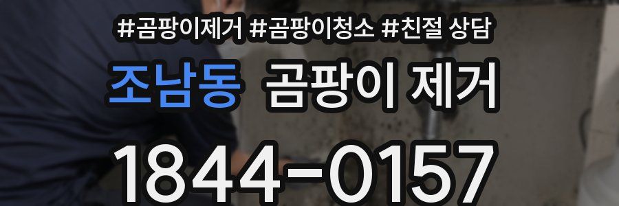 조남동 곰팡이 제거