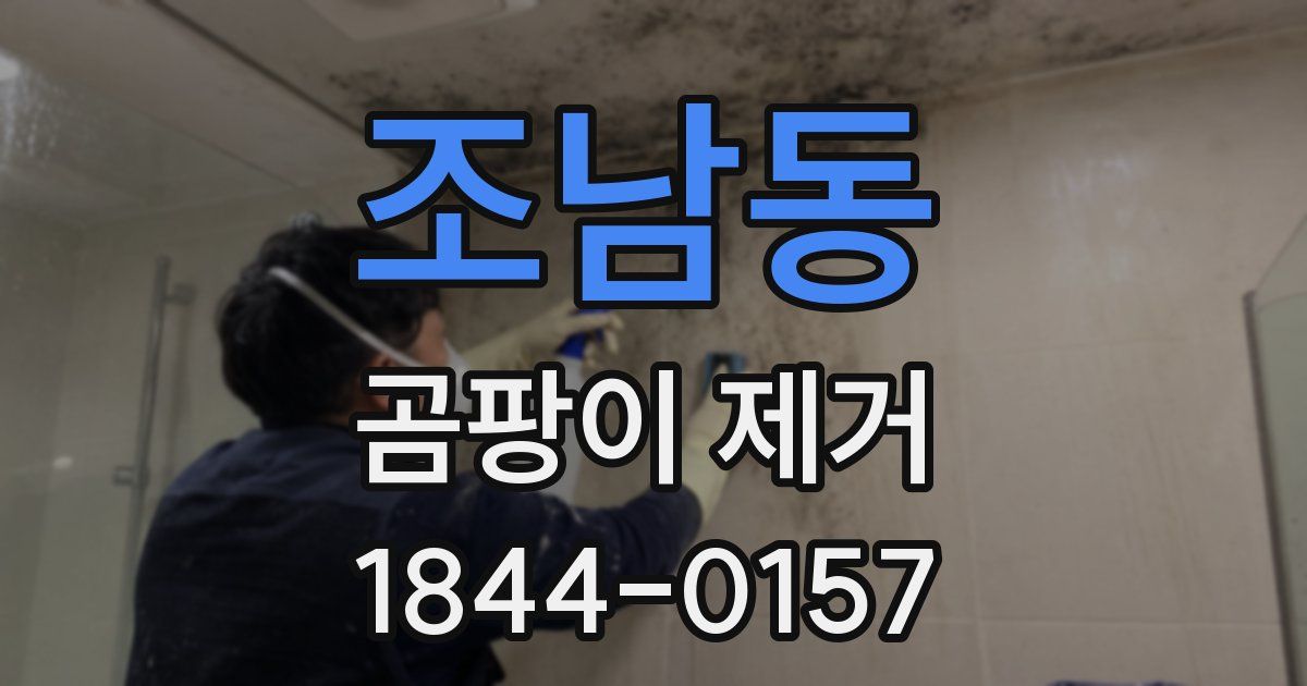 조남동 곰팡이 제거