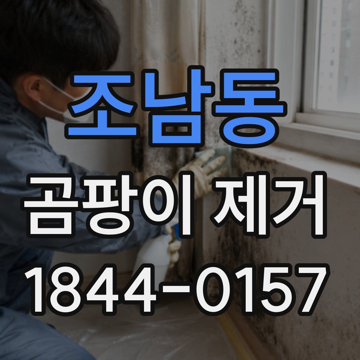 조남동 곰팡이 제거