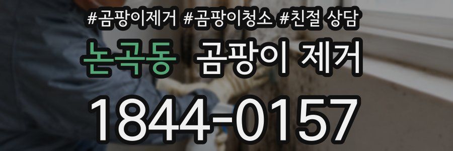 논곡동 곰팡이 제거