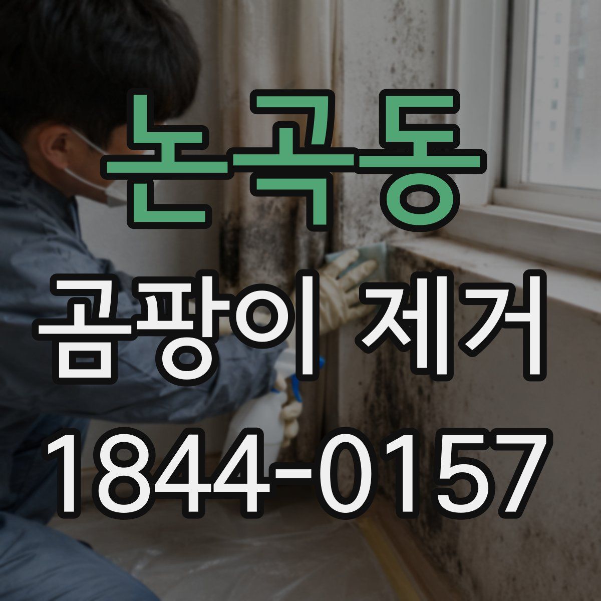 논곡동 곰팡이 제거