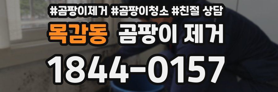 목감동 곰팡이 제거
