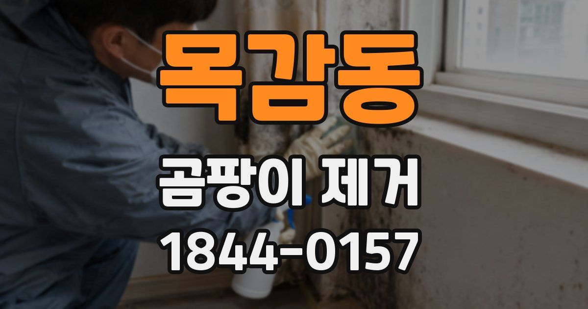 목감동 곰팡이 제거