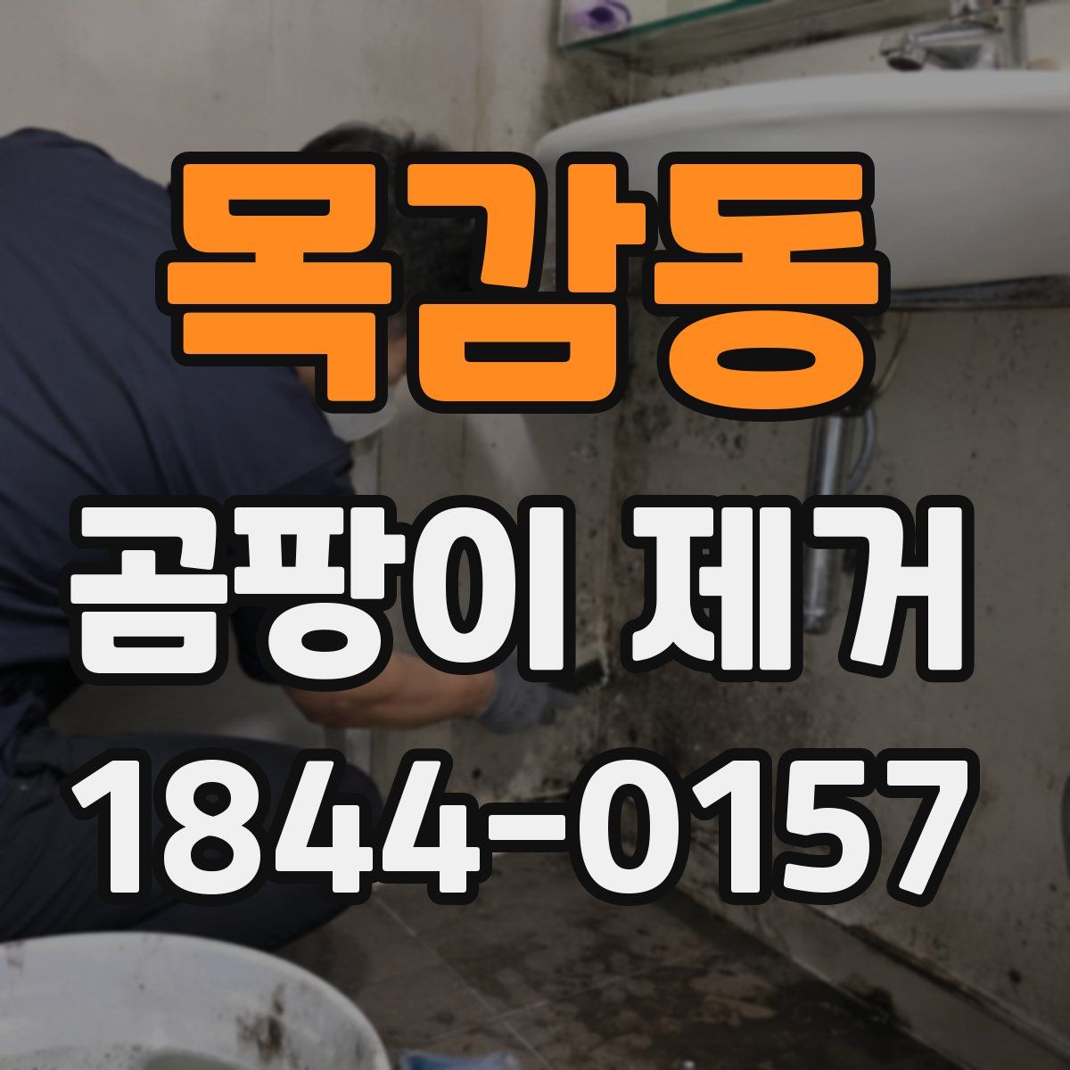 목감동 곰팡이 제거