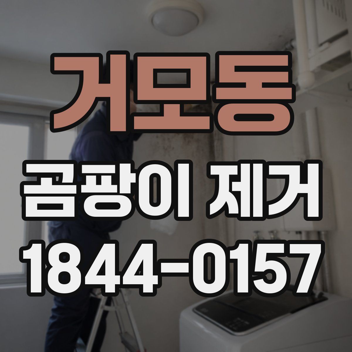 거모동 곰팡이 제거