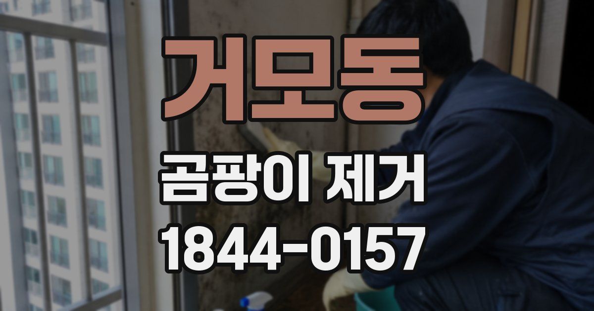 거모동 곰팡이 제거
