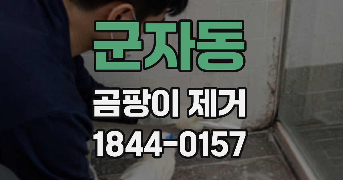 군자동 곰팡이 제거