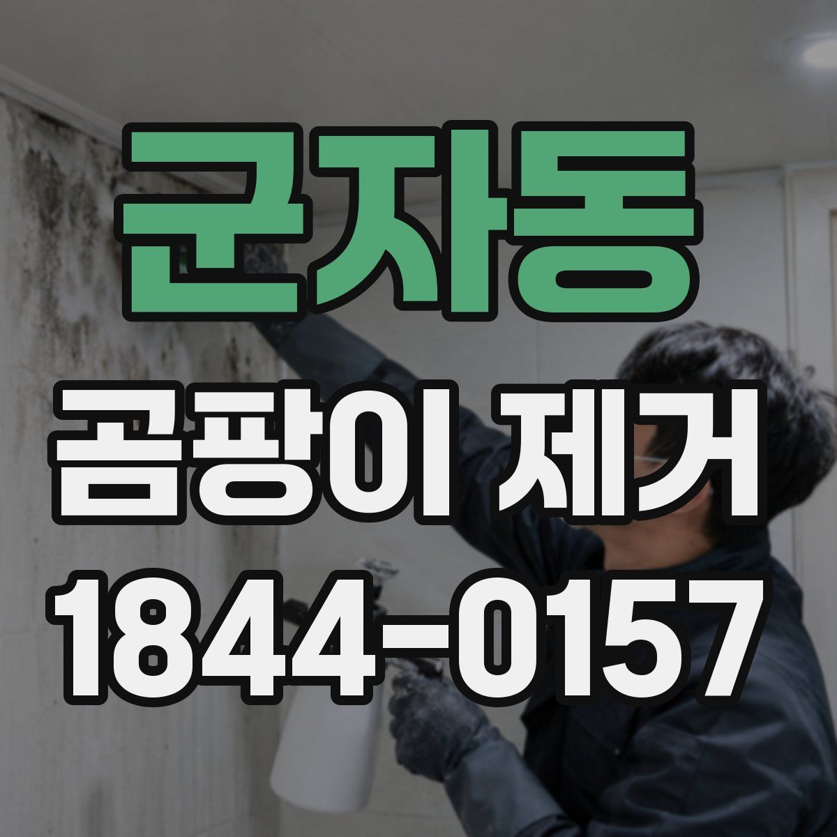 군자동 곰팡이 제거