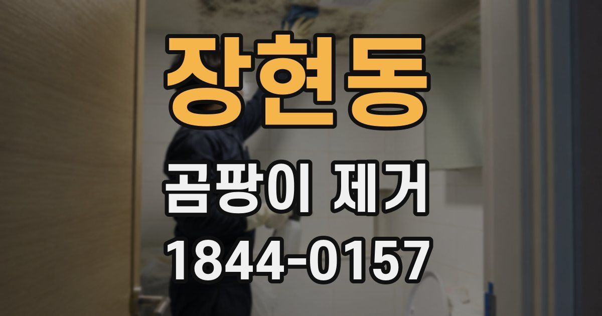 장현동 곰팡이 제거
