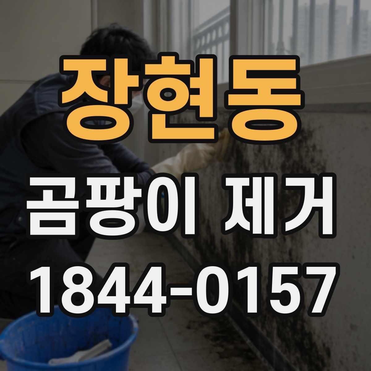 장현동 곰팡이 제거