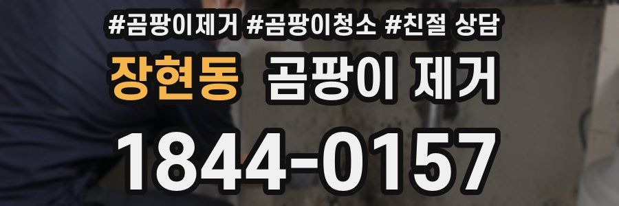 장현동 곰팡이 제거