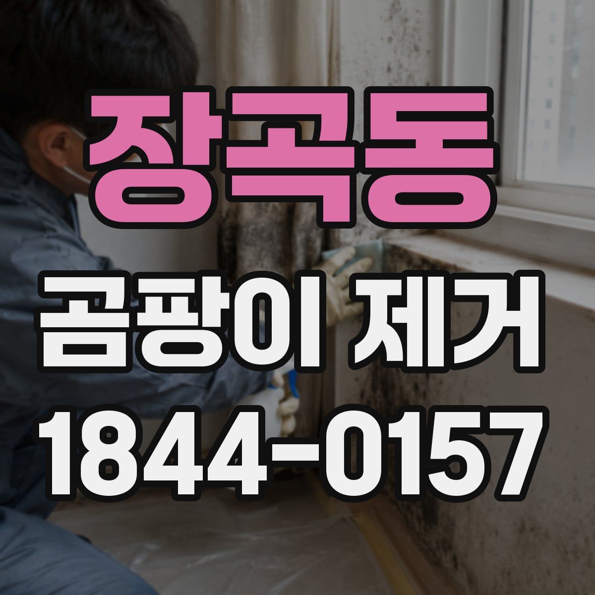 장곡동 곰팡이 제거