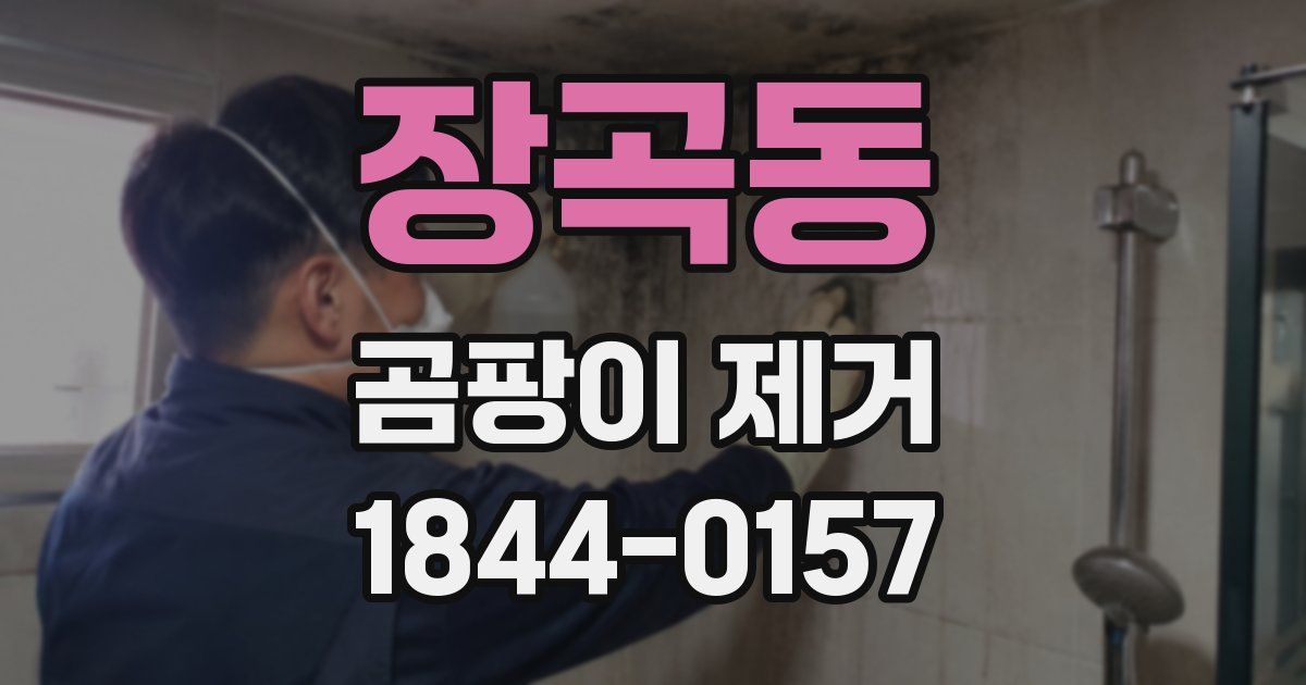 장곡동 곰팡이 제거