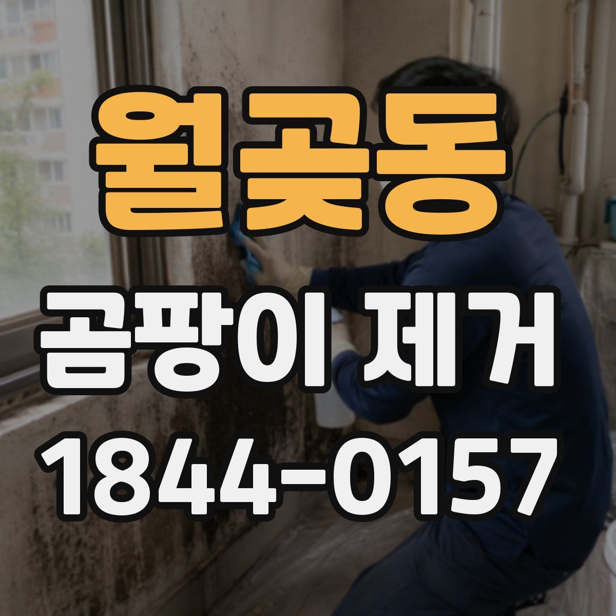 월곶동 곰팡이 제거