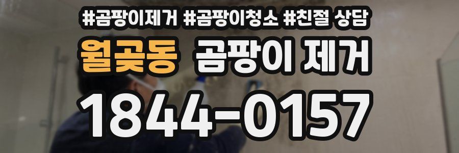 월곶동 곰팡이 제거