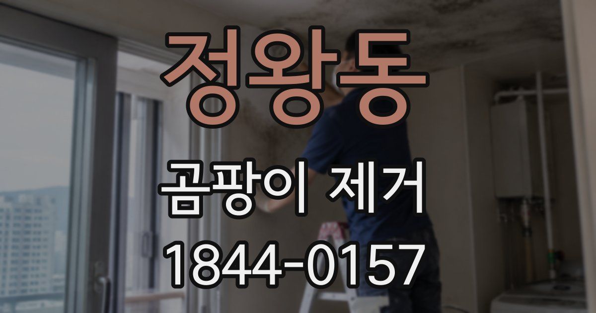 정왕동 곰팡이 제거