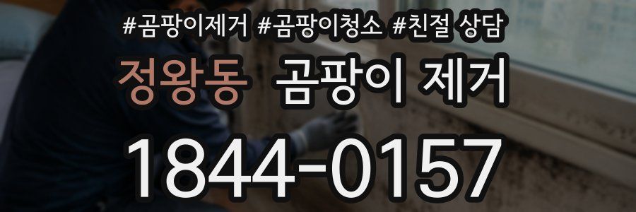 정왕동 곰팡이 제거