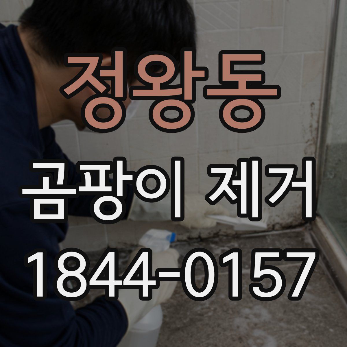 정왕동 곰팡이 제거