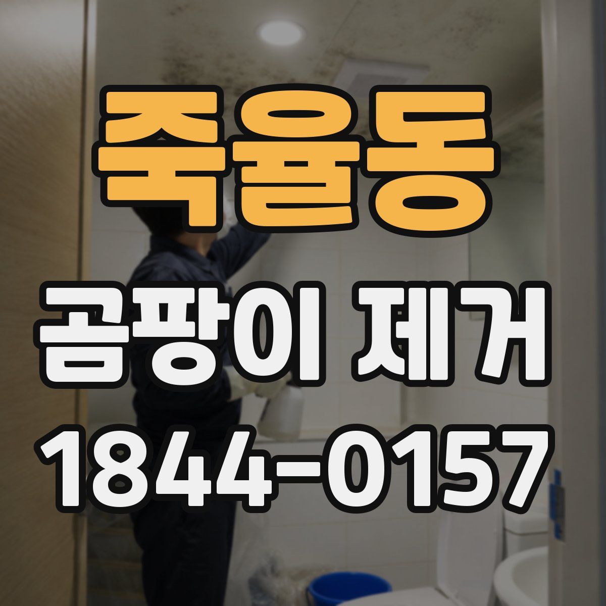 죽율동 곰팡이 제거