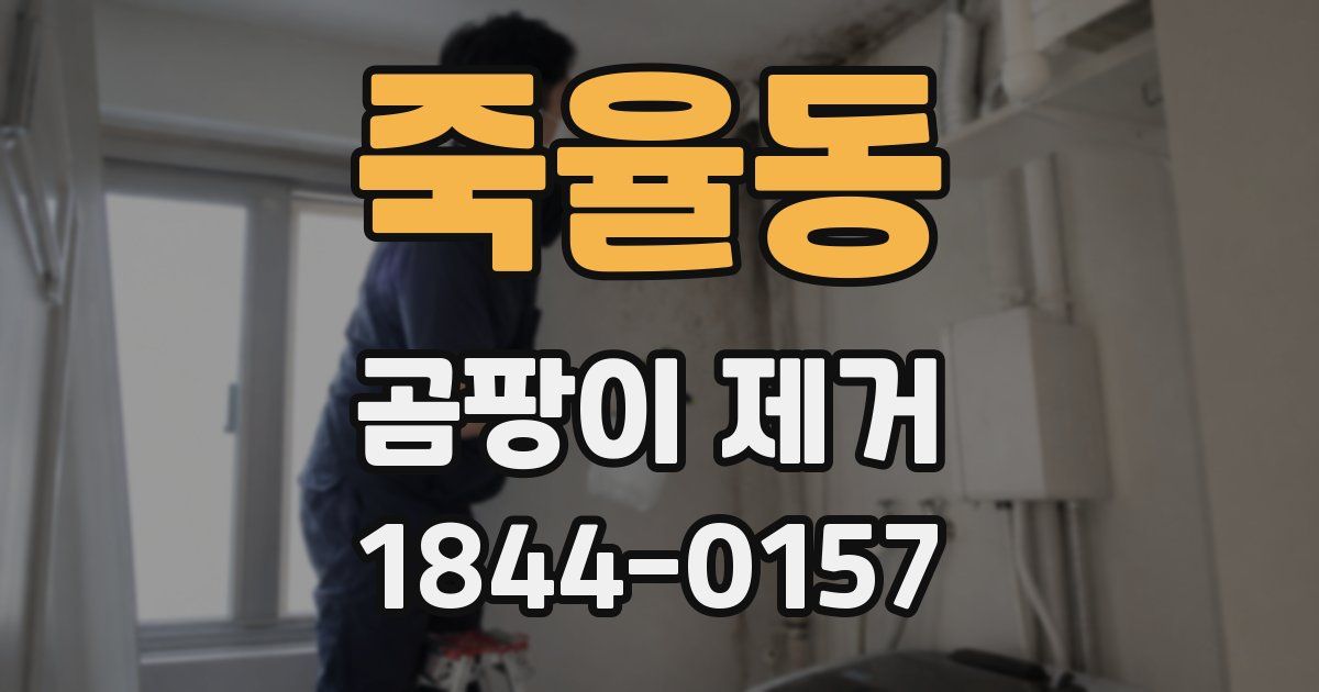 죽율동 곰팡이 제거