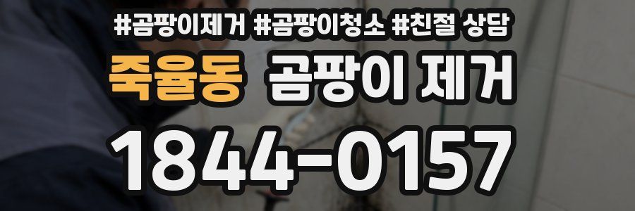 죽율동 곰팡이 제거