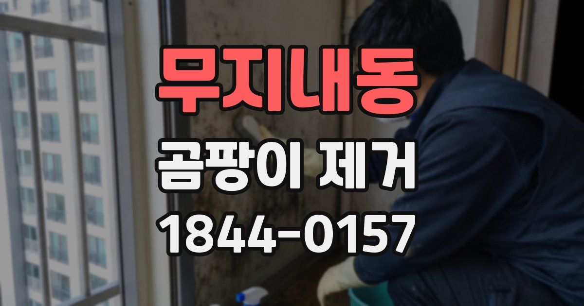 무지내동 곰팡이 제거