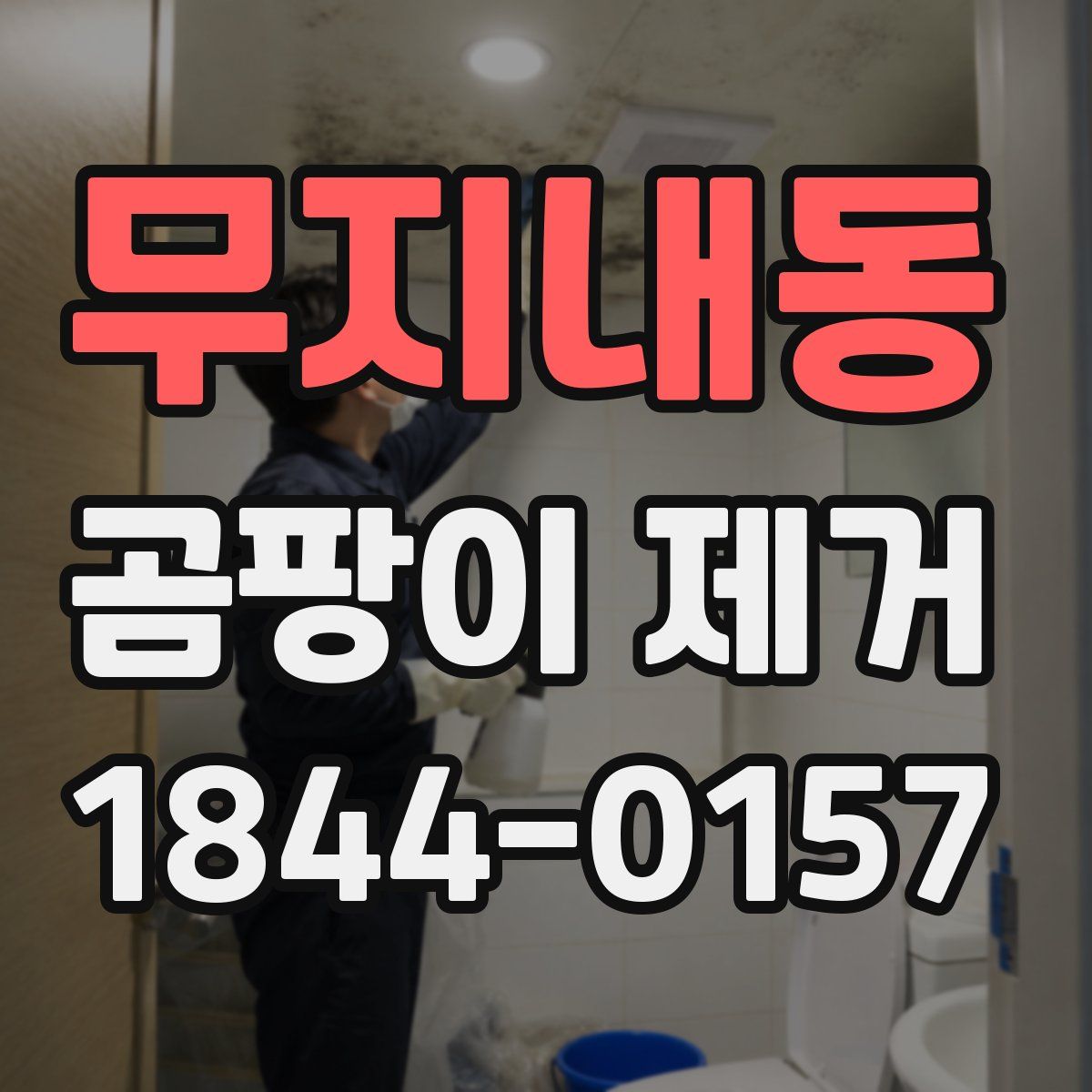 무지내동 곰팡이 제거