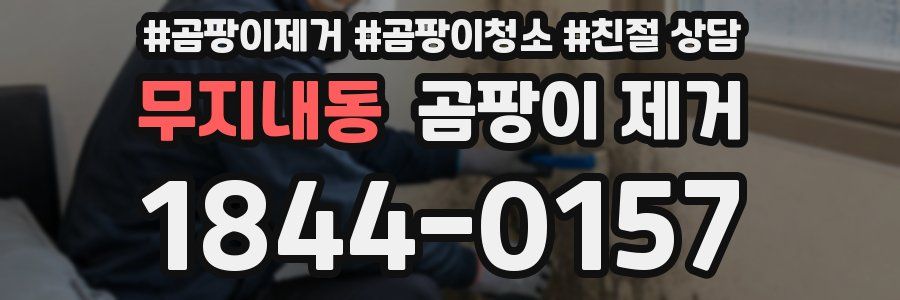 무지내동 곰팡이 제거