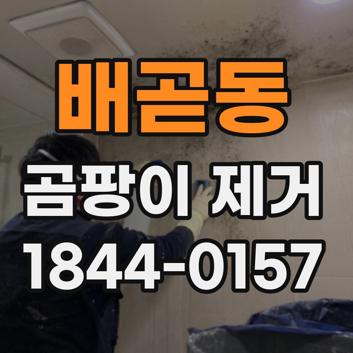 배곧동 곰팡이 제거