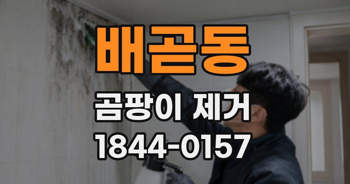 배곧동 곰팡이 제거