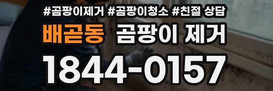 배곧동 곰팡이 제거