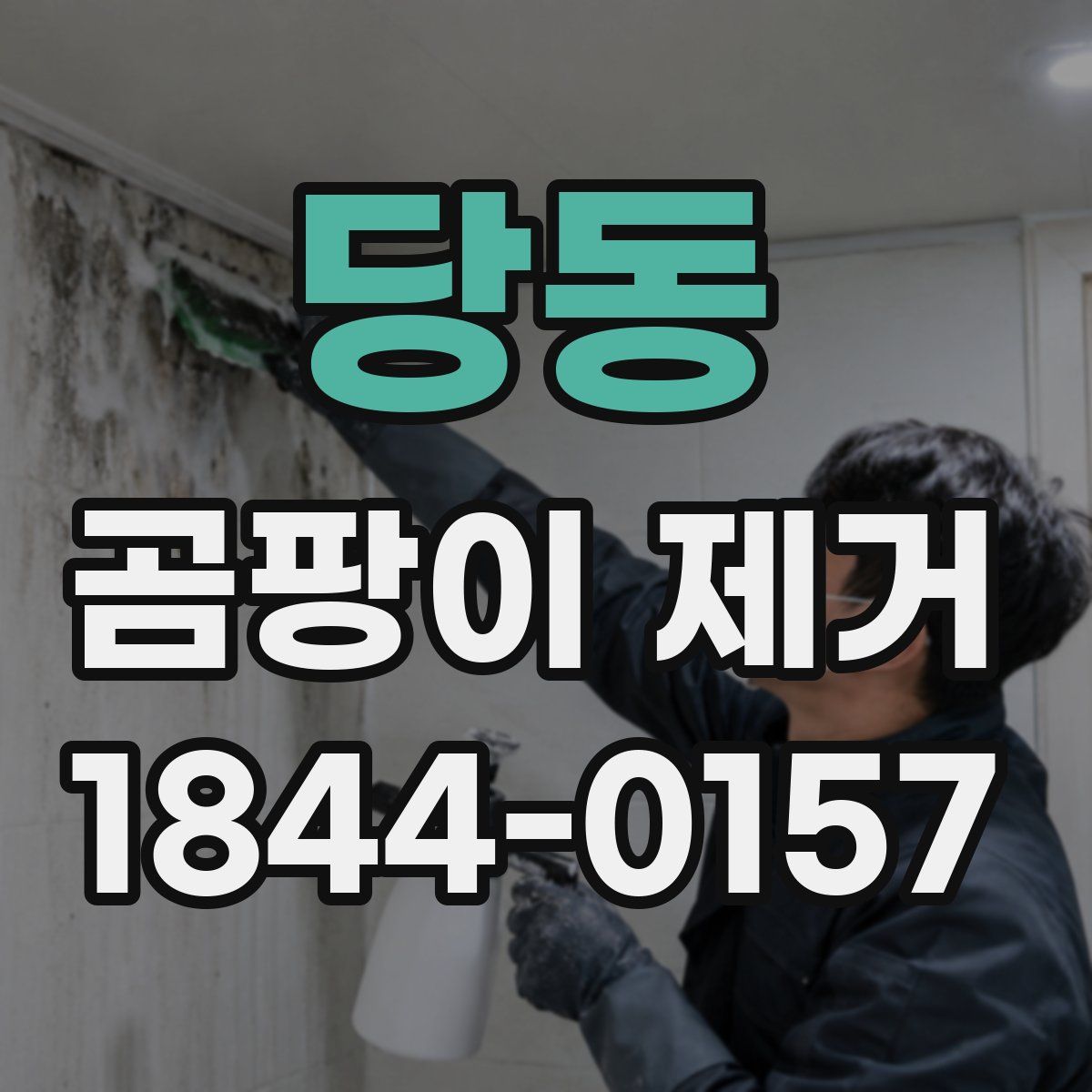 당동 곰팡이 제거