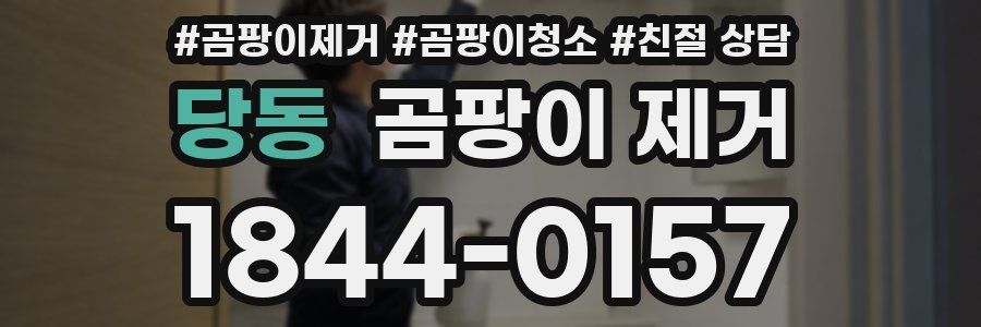 당동 곰팡이 제거